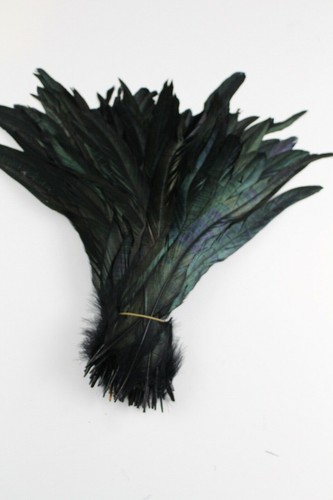 20 pcs 12"-14 ", 14"-16" Rooster Coque Tail Feathers for Crafting, Decoration - Picture 6 of 46