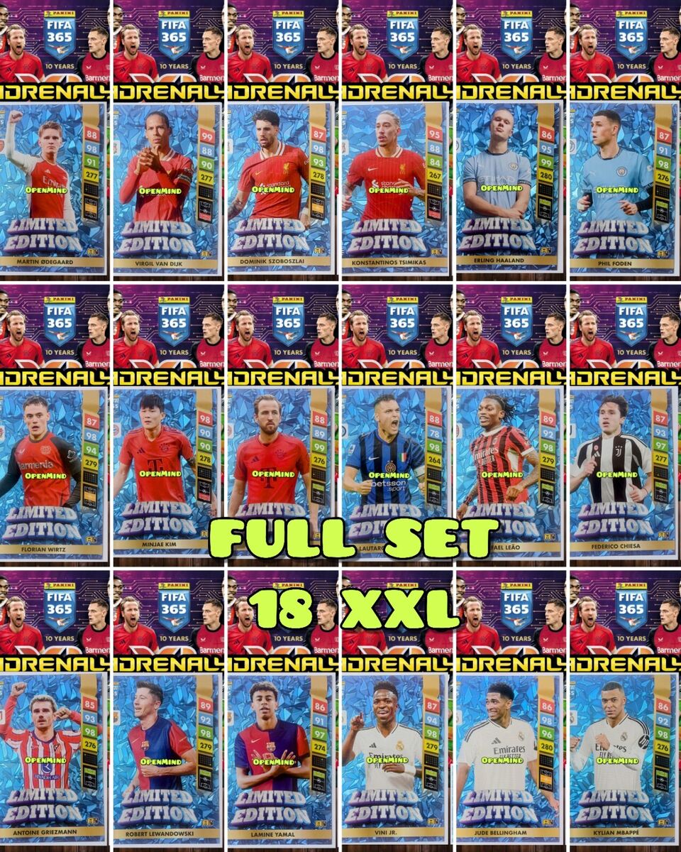 Panini fifa 365 2025 - FULL ALBUM (441 cards in binder) + 18