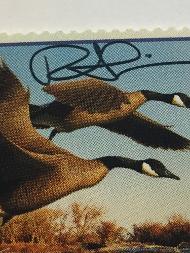 Robert Steiner,#1,1990,Co.Artist Signed Duck Stamp,Canada Geese,Mint Condition - Picture 6 of 12