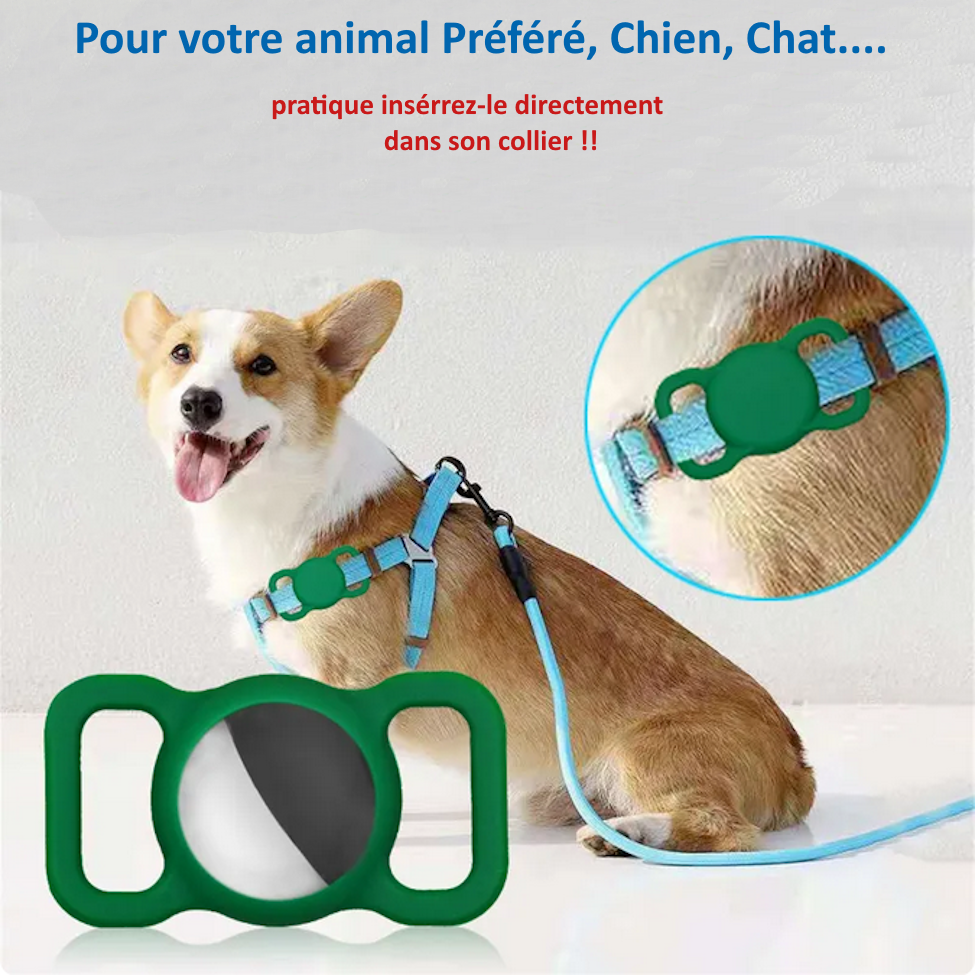 Photo 25 sur 38