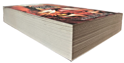 Anansi Boys Neil Gaiman Trade PaperbaUK Import Fantasy Mythology Magical Realism - Picture 5 of 10