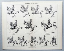 Reiten, Reitkunst, Dressur -