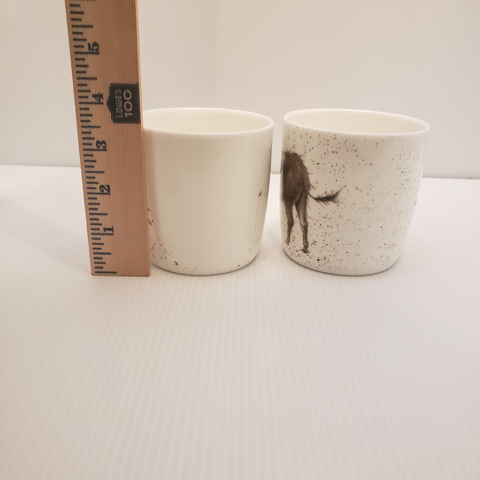 Picture 4 of 12