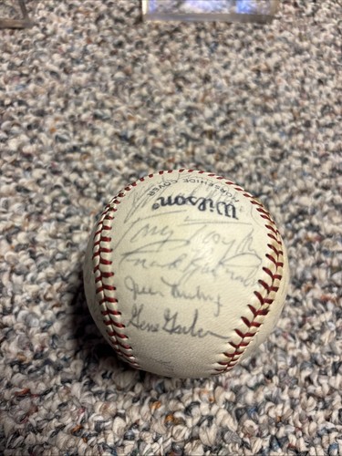 1974 Philadelphia Phillies Team Signed Ball Steve Carlton & Case - Picture 5 of 13