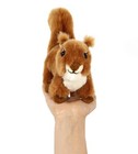 Bild 7 von 8
