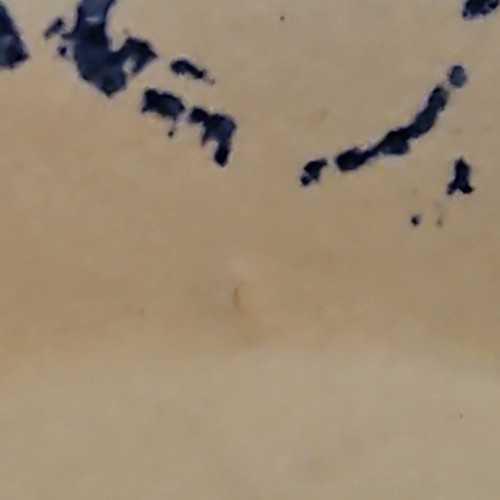 Robinson Ransbottom Pottery 7" Mini Pie Plate Blue Wheat, marked on back - Picture 5 of 6
