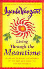 Living Through the Meantime: Learning to Break the Patterns of the Past and Begin the Healing Process by Iyanla Vanzant (Hardback, 2001)