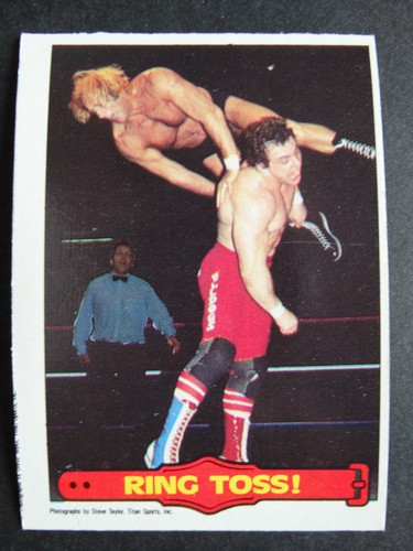 1985 OPC O-Pee-Chee WWF WWE Series 2 Wrestling Cards Complete Your Set U Pick - Picture 90 of 159