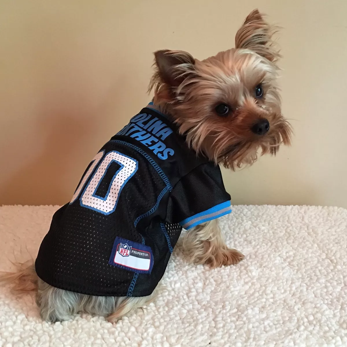  NFL Carolina Panthers Dog Jersey, Size: XX-Large. Best  Football Jersey Costume for Dogs & Cats. Licensed Jersey Shirt. : Sports &  Outdoors