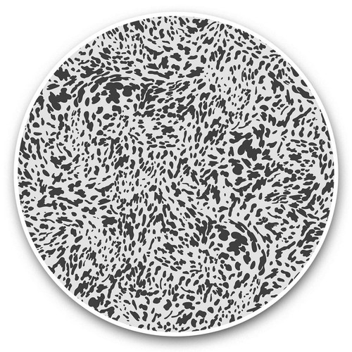 2 x Vinyl Stickers 20cm (bw) - Cool Appaloosa Horse Pattern  #38858 - Afbeelding 1 van 8