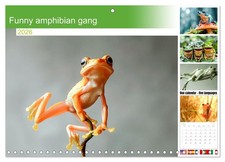 Funny amphibian gang (Monthly Wall Calendar 2026 16.5 x 23.4 (open)), CALVENDO 1