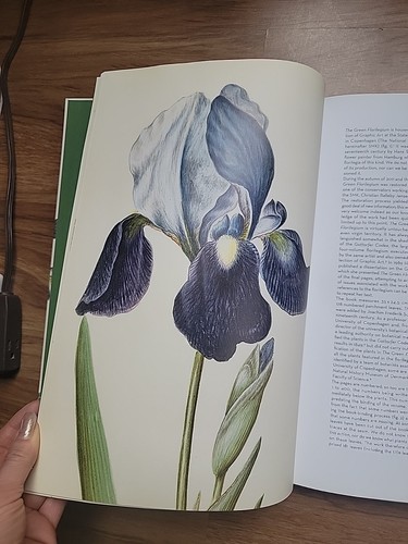 The Green Florilegium 2013 Hanne Kolind Poulsen Prestel In Slipcase VG - Picture 3 of 8