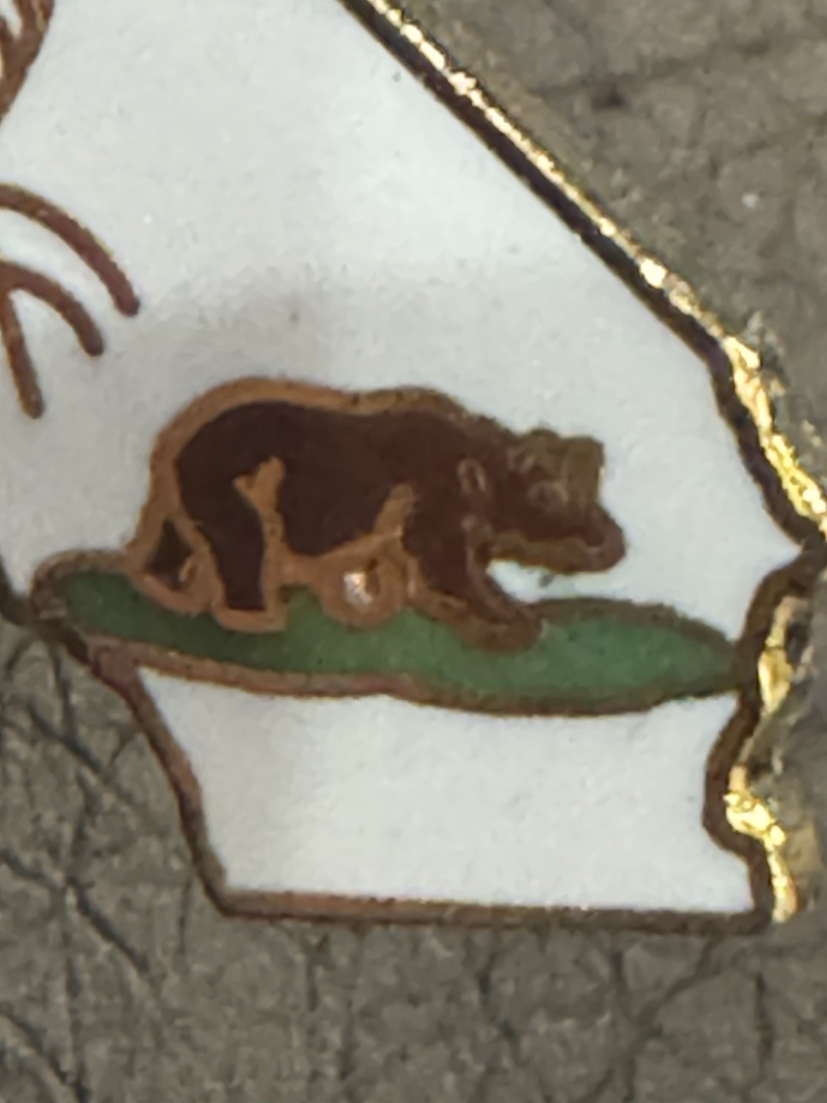 Picture 4 of 5