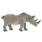 Simulation Rhinoceros Shape Model Land Creature Model Animals Shape Decor