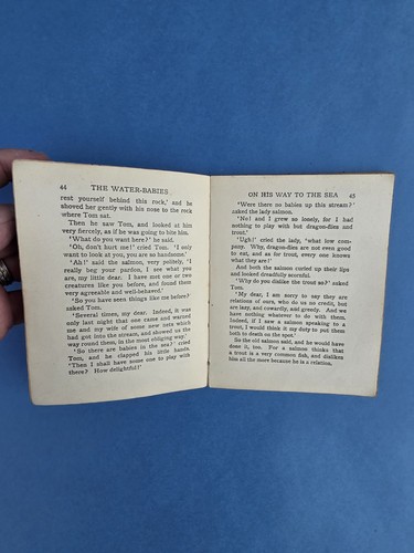Charles Kingsley The Water Babies Told to the Children Illustrated - Picture 6 of 10