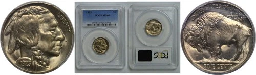 1925 Buffalo Nickel   PCGS MS-66