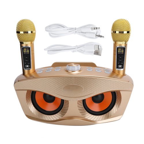 SD306Plus Bluetooth Karaoke Machine Wireless Speaker 2X Microphone Home KTV USB - Bild 13 von 18