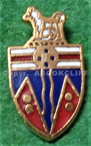 GIRL GUIDES Yukon Canada Lapel / Collar Pin Mint - Picture 1 of 4
