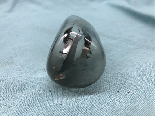 REPLACEMENT BULB FOR GAF 1488 80W 30V - Picture 5 of 5