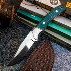 9.0" WILD BLADES CUSTOM HANDMADE HUNTING KNIFE COMBAT FIXED BLADE MILITARY