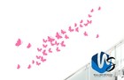 Bild 12 von 25