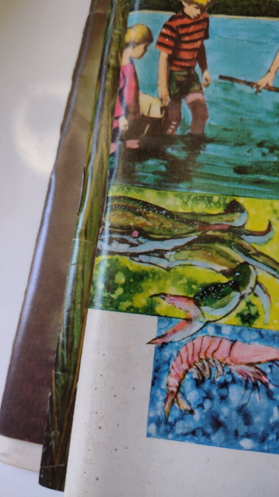 Picture 6 of 12