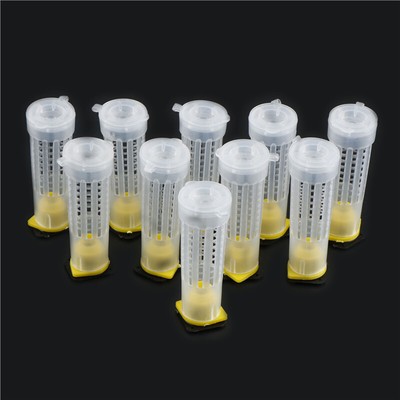 10PCS  Beekeeper Equipment Tool Beekeeping Rearing Cup Kit Queen Bee Cages Rhqy