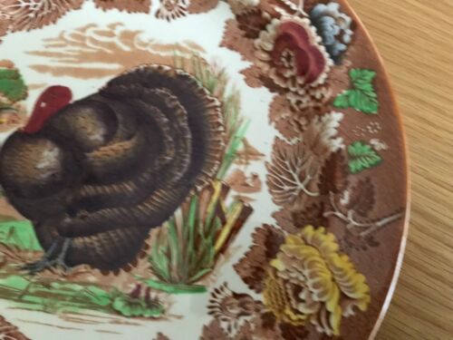 Vintage, Woods Burslem Floral 'Türkei' Speiseteller mit Blumenrand, 25,5 cm - Bild 3 von 8