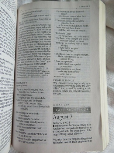 God Sightings - The One Year Bible NLT version, 2009, Paperback - Imagen 10 de 11