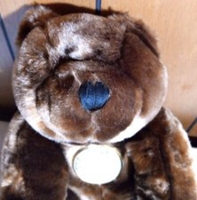 DanDee Collectors Choice Brown Plush Teddy Bear With Gold Medallion
