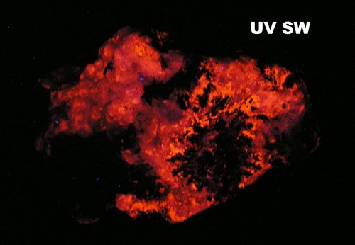 CHATOYANT MALACHIT & FLUORESCENT CALCITE - 6,8 cm - BISBEE, ARIZONA 26764 - Bild 3 von 8