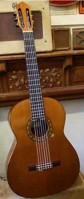 John price guitar for sale Clearance