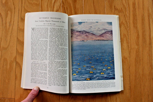 National Geographic Mayo 1937; Mariposas; Isla de Man; Bekonscot; Navega por Europa - Imagen 7 de 23