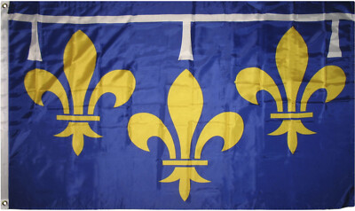 Flag of Orleanais 3x5 ft French Region France Province Orleans Fleur-de-lis Blue