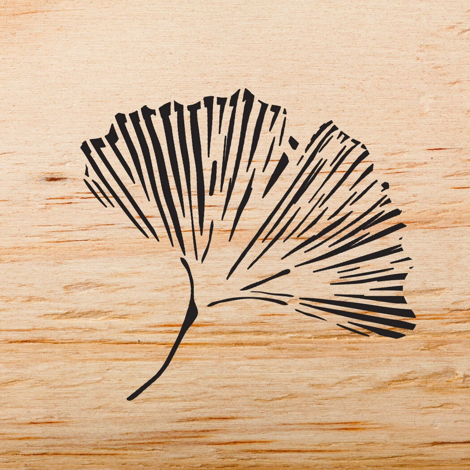 Chinese Ginkgo Stencils - Easy to Use Floral Stencil for Walls Instead of decals - Image 3 of 3