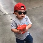 donsdynsty