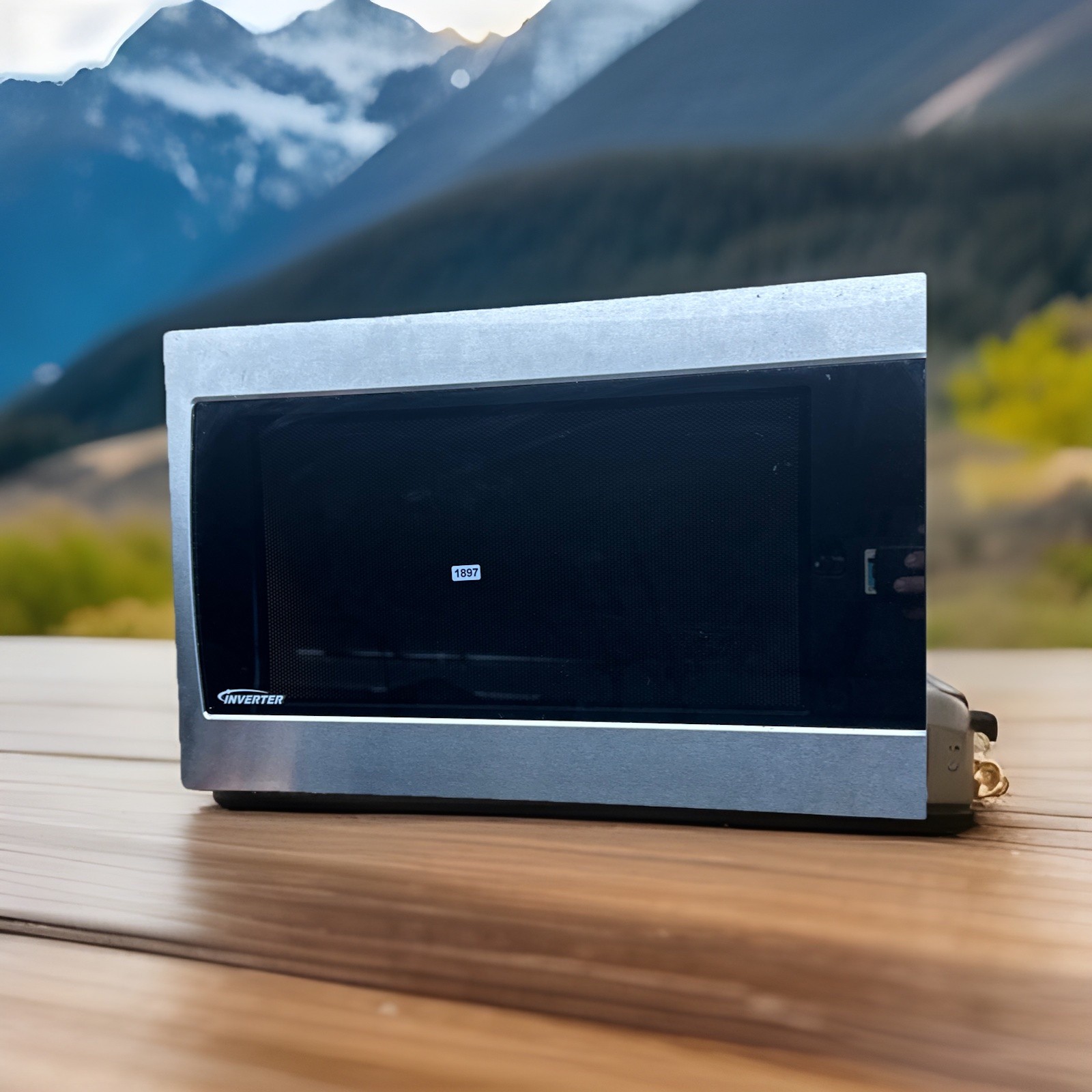 ✅ Panasonic Inverter NN-SN960S Stainless Microwave Front Door Unit S333 ✅