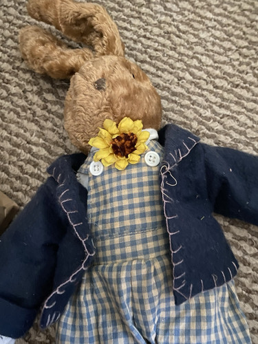 Peluche coniglio - Foto 5 di 7