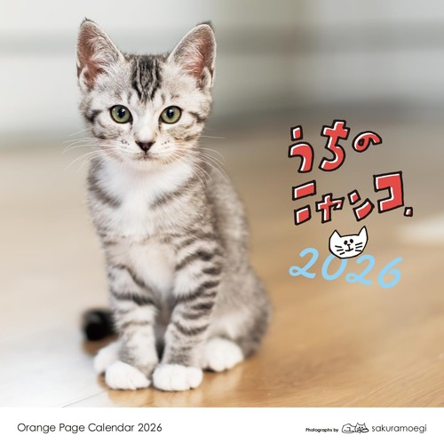 Calendario de Pared My Kitty 2026 Páginas Naranja 10.04x10.04 pulgadas Estilo Japonés Nuevo - Imagen 17 de 24