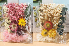 Natural Dried Flowers for Crafts Resin DIY Decoration Pressed Floral Mix Set