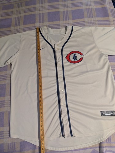1919 Chicago Cubs Nike Replica Jersey 2022 Field of Dreams MLB Genuine - Picture 9 of 9