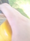 Bild 12 von 17