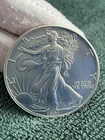1991 U.S. Mint American Silver Eagle 1 oz 0.999 Silver Bullion Coin