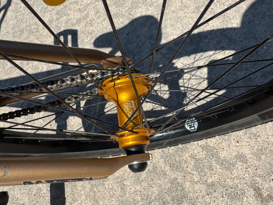  BMX BSD Raider 21" 2021 construcción personalizada Foto 3 de 4