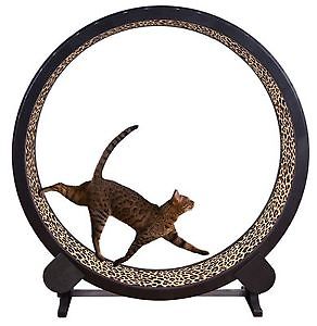 専用　キャットホイール　ONE　FAST　CAT Cat Exercise Wheel · Giant Scratching Tower · One Fast Cat