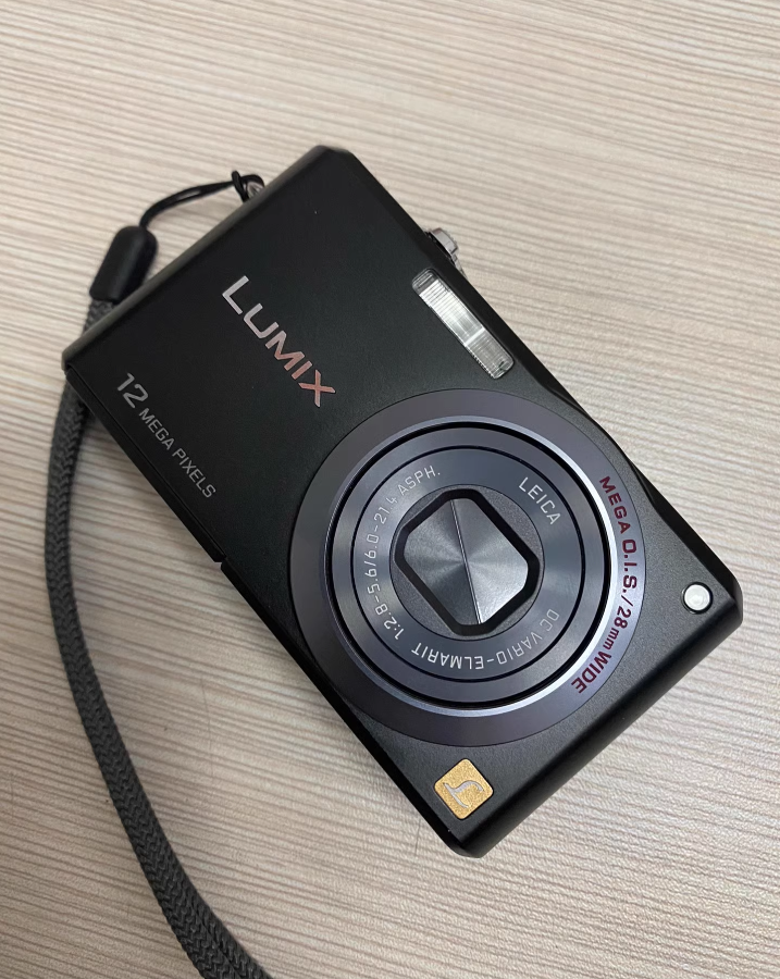 Panasonic LUMIX DMC-FX100 12.2 MP Small Digital Camera