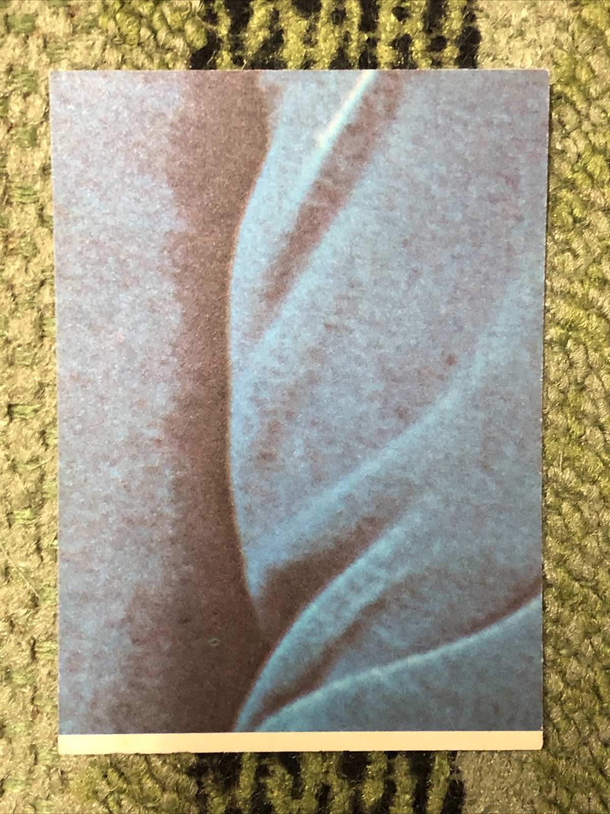 Picture 2 of 2
