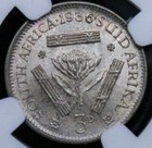 Picture 4 of 4