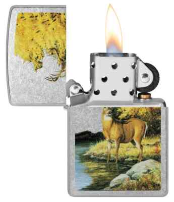 ミュージシャン BUCK-TICK TOUR SEXTREAM LINER zippo Welcome to Buck-Tick Zone