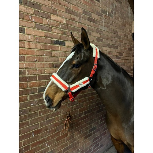 Ruggles Fully Adjustable Head Collar With Contrast Fur Trim Travel/Show/Everyday - Picture 7 of 17